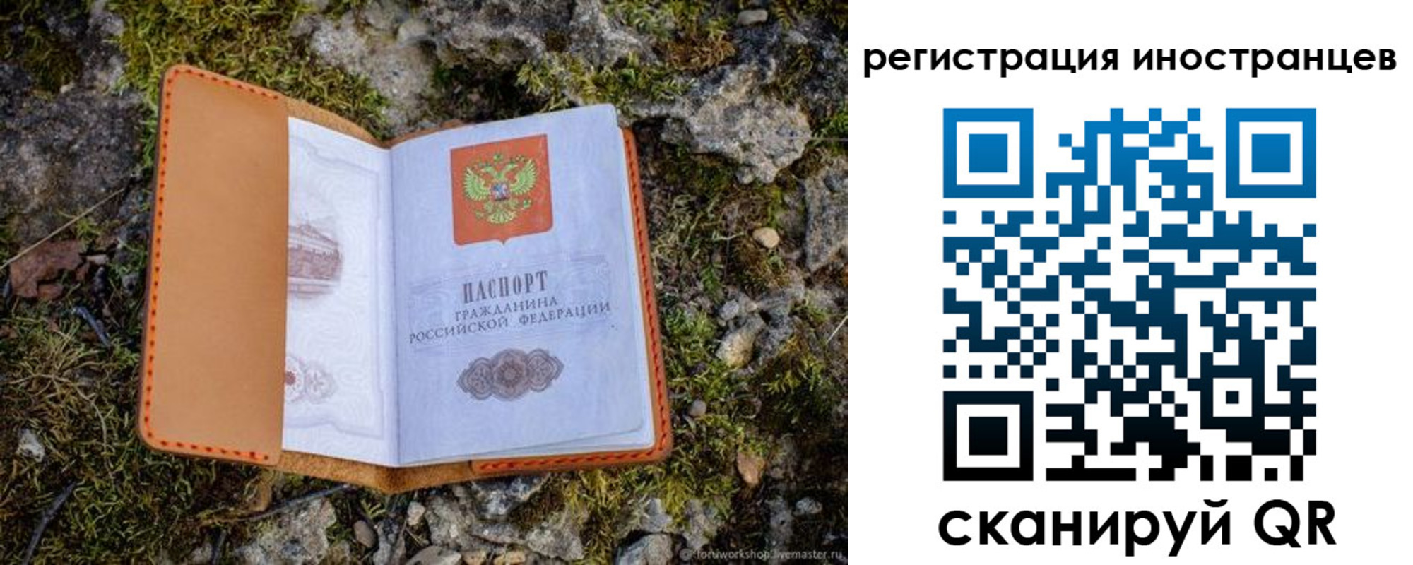 прописка паспорт в Приморском крае